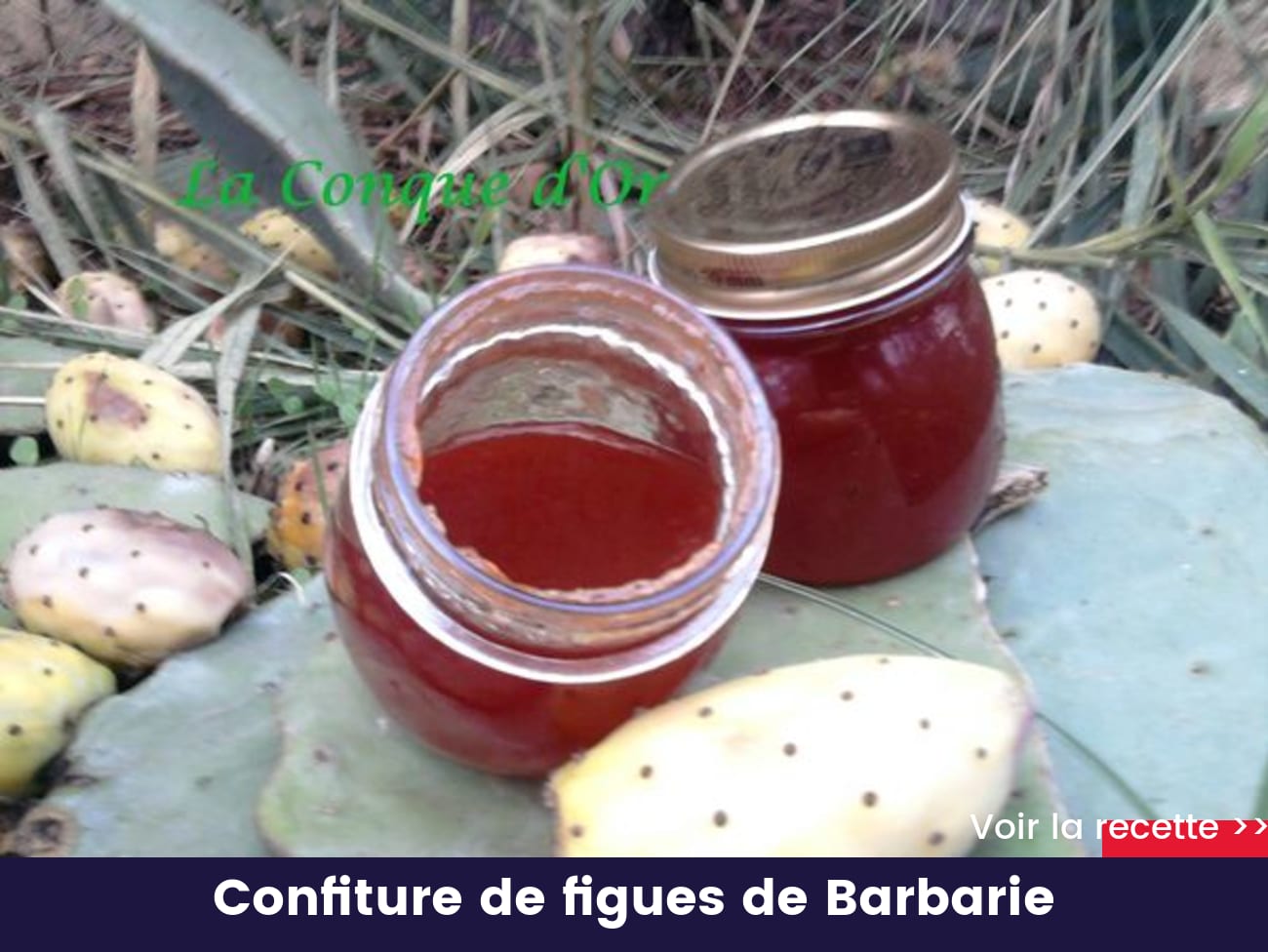 Confiture de figues de Barbarie